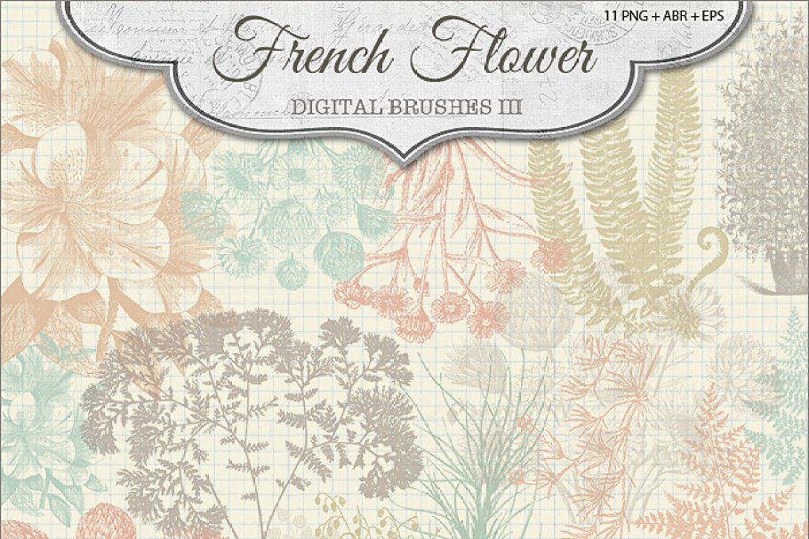 Download French Flower Brushes 3