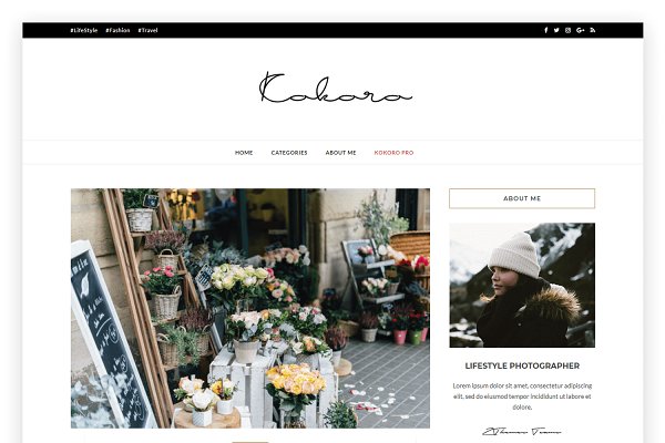 Download Kokoro- A Clean & Elegant blog theme
