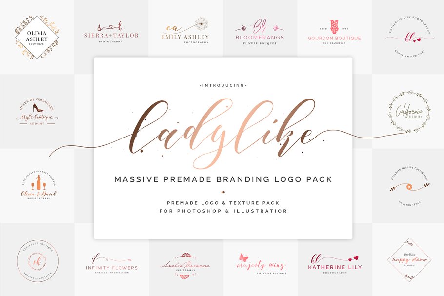 Download Ladylike Premade Branding Logos