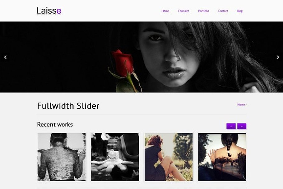 Download Laisse - powerful WordPress Theme