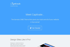 Download Captivate WordPress Flat UI Theme