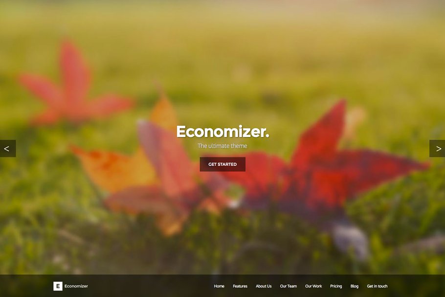 Download Economizer HTML5/CSS3 One Page Theme