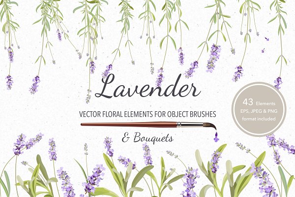 Download Vector object brushes. Lavender