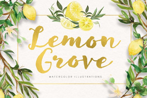 Download Lemon Grove Watercolor Illustrations
