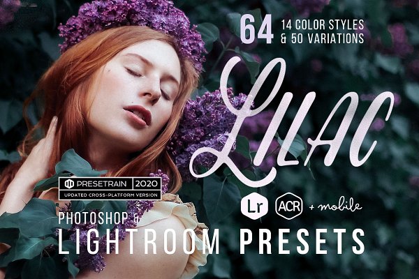 Download Lilac - 64 Presets for LR & ACR