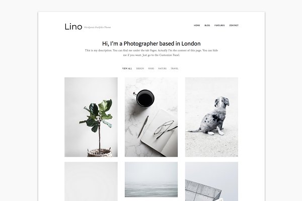 Download Portfolio WordPress Theme - Lino
