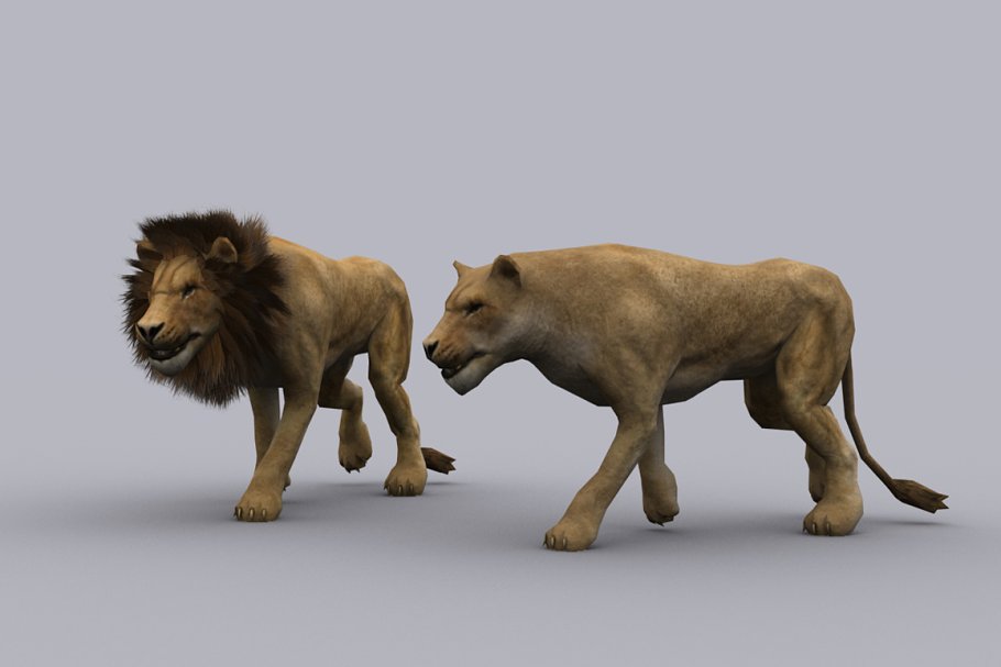 Download LION and LIONESS fbx only