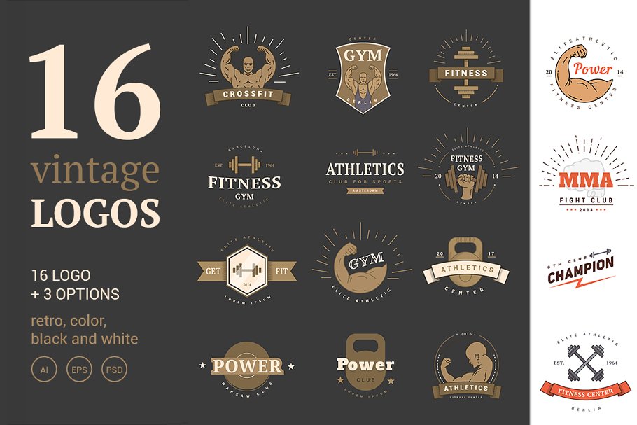 Download 16 Vintage Sport Logos. Emblems Set.