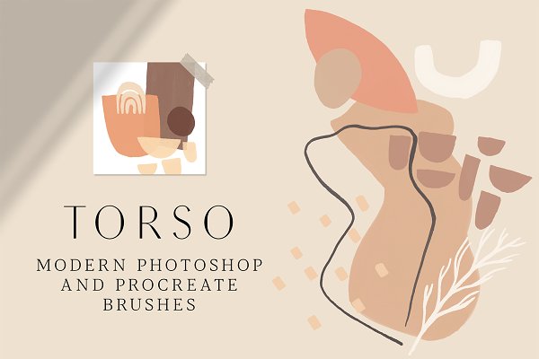 Download TORSO - Photoshop & Procreate Stamps