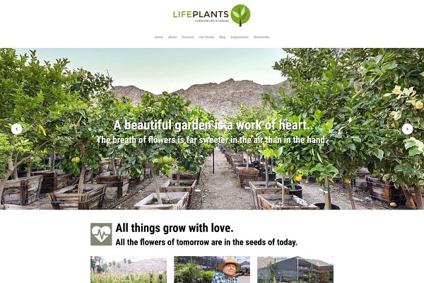 Download Lifeplants - Tree Nursery WP Theme
