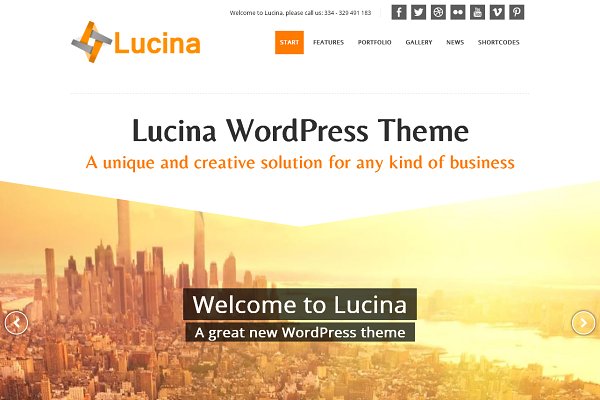 Download Lucina - Creative Business Theme