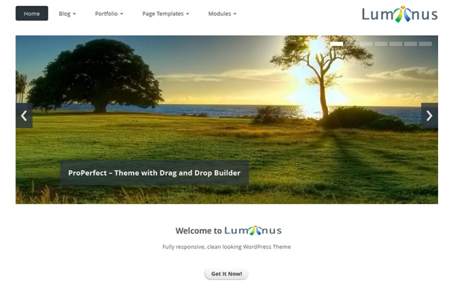 Download Luminus - Responsive WordPress Theme