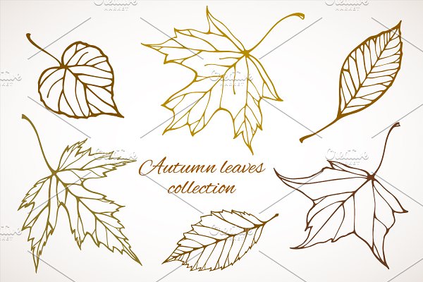 Download Fall leaves patterns+illustrations