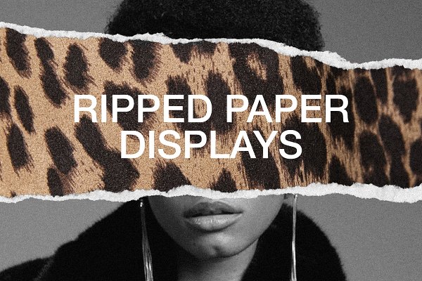 Download Ripped Paper Displays