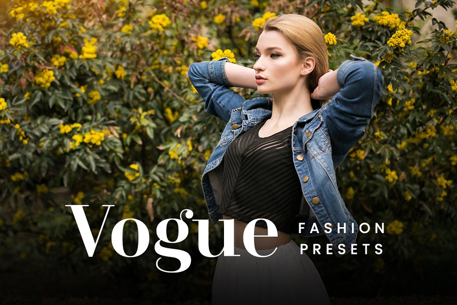 Download Vogue FX - Lightroom Presets