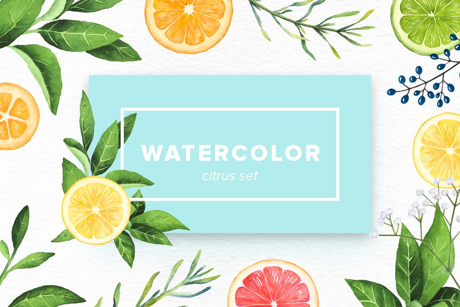 Download Watercolor Citrus Set