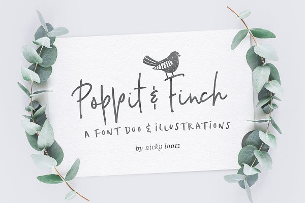 Download Poppit & Finch Fonts & Illustrations