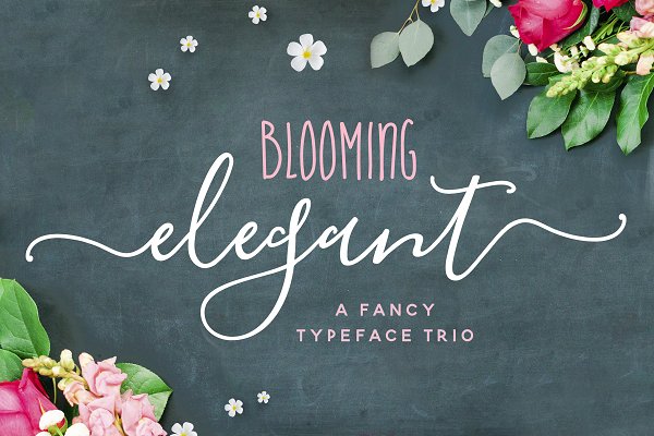 Download The Blooming Elegant Font Trio