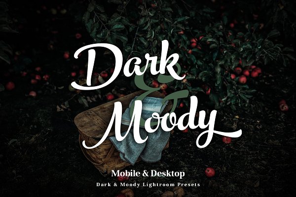 Download Dark & Moody Lightroom Presets