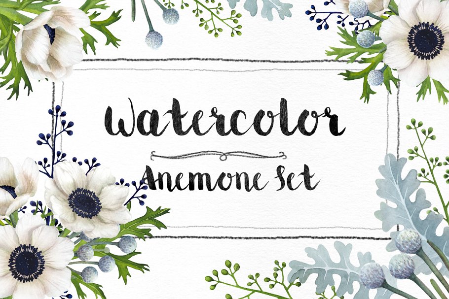 Download Watercolor Anemone Set