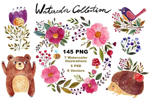 Download Big Watercolor Forest Collection