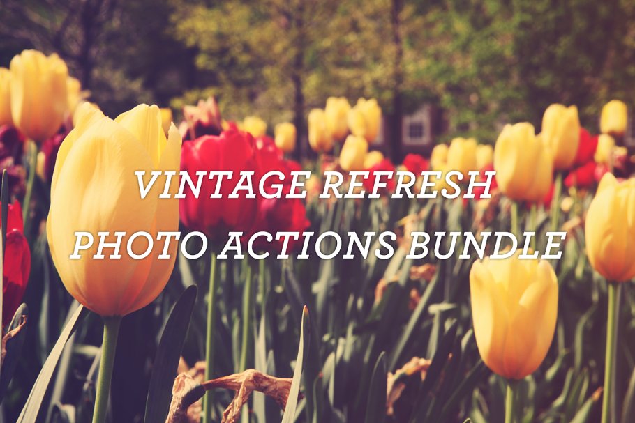 Download Vintage Refresh Photo Actions Bundle