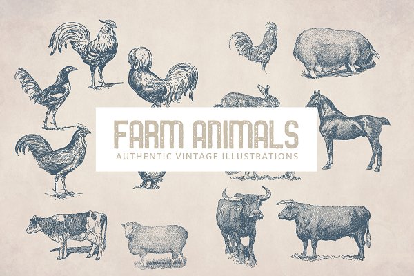 Download 55 Vintage Farm Animals