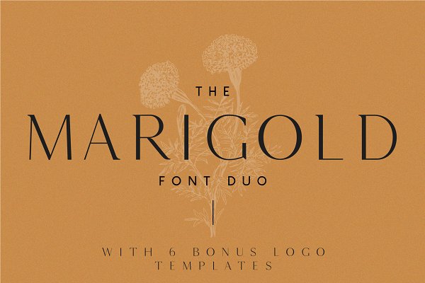 Download Marigold - Font duo and logo set