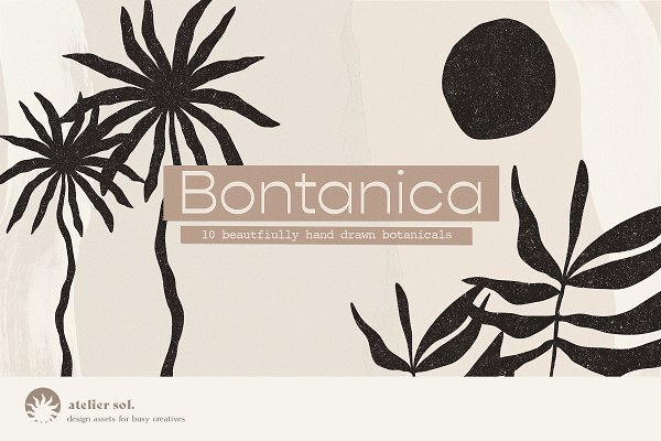 Download BOTANICA | Hand drawn botanicals