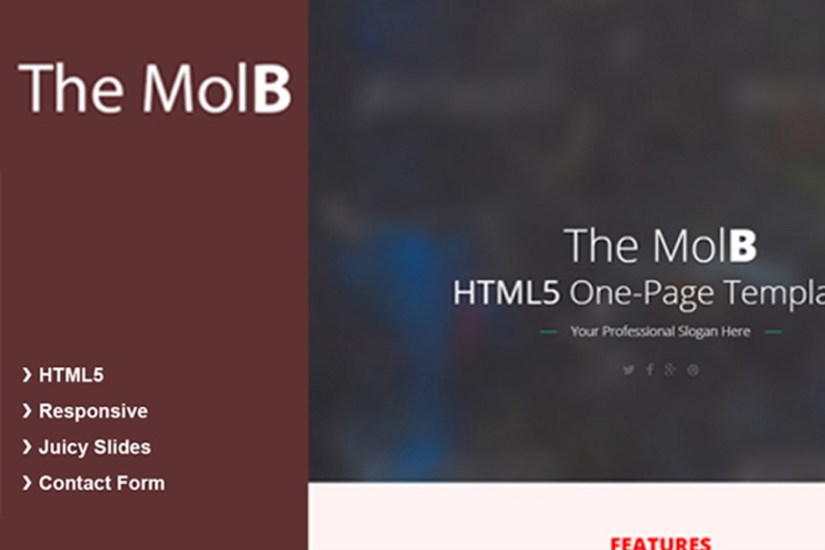 Download MolB - HTML5 Template