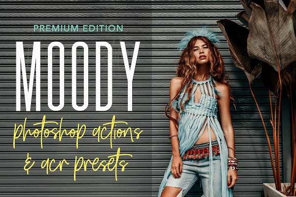 Download MOODY PHOTOSHOP ACTIONS ACR PRESETS