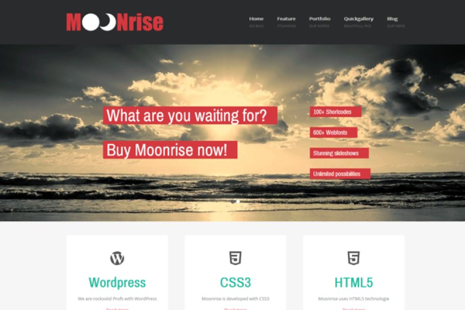 Download Moonrise - flat WordPress Theme