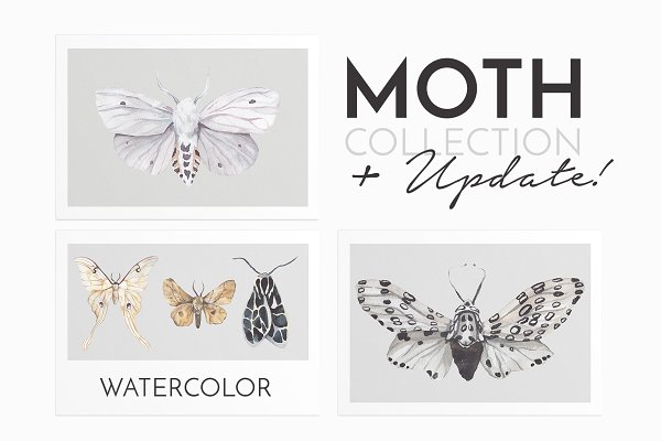 Download -40% MOTH watercolor butterflies