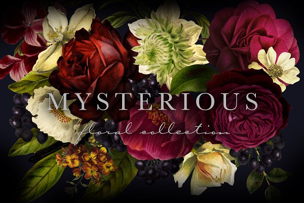 Download Mysterious Floral Collection