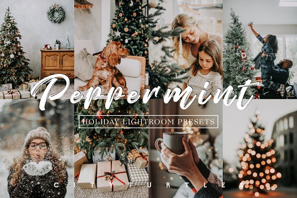Download Moody Holiday PEPPERMINT LR Presets