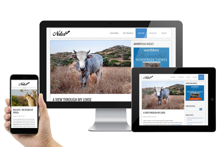 Download Noted - Responsive WordPress Theme