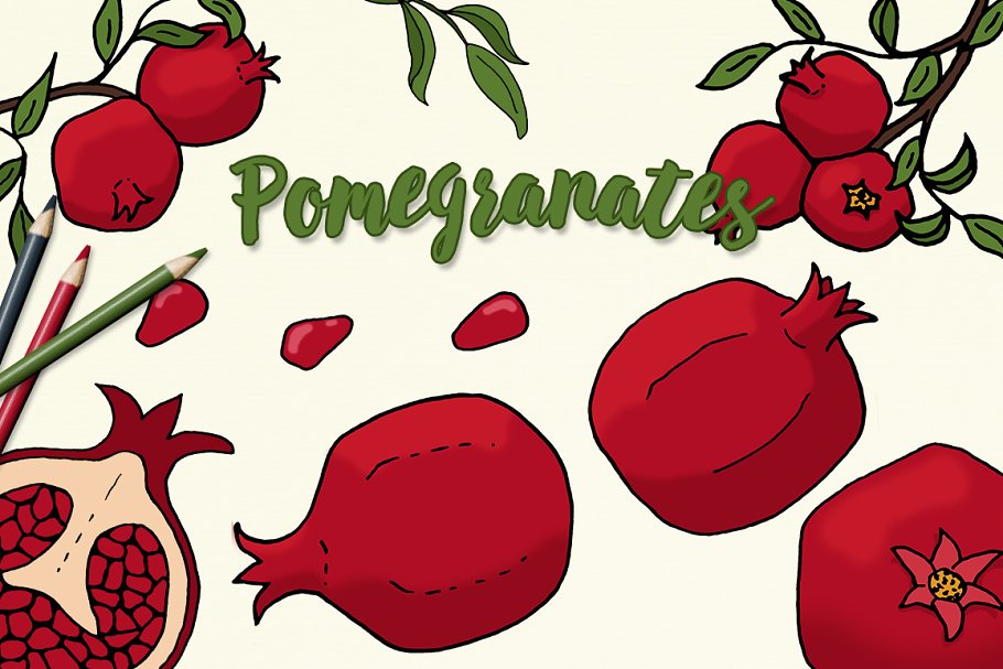 Download Pomegranate Illustrations