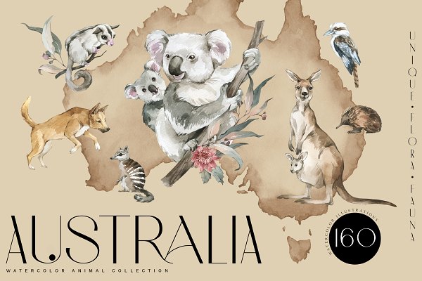 Download "AUSTRALIA" Flora & Fauna collection