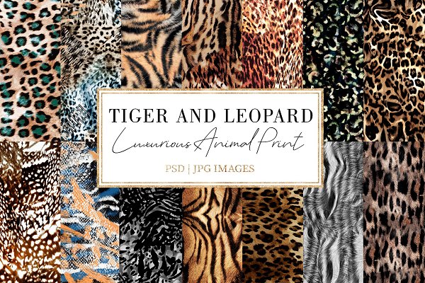 Download Tiger and Leopard