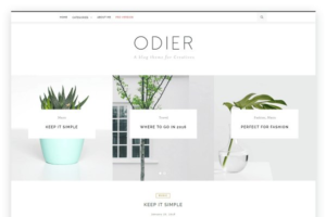 Download OdierLite - A WordPress Blog Theme
