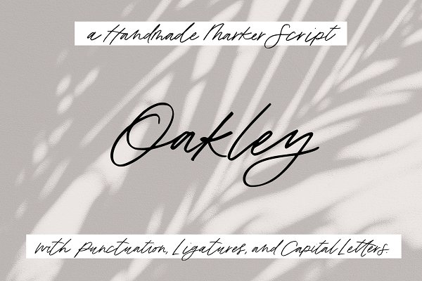 Download Oakley: a Handmade Marker Script