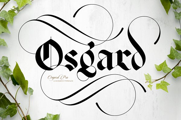 Download Osgard Pro | Font