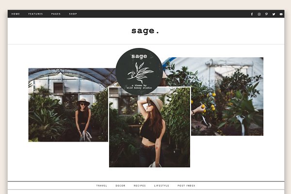 Download Sage | Wordpress Theme