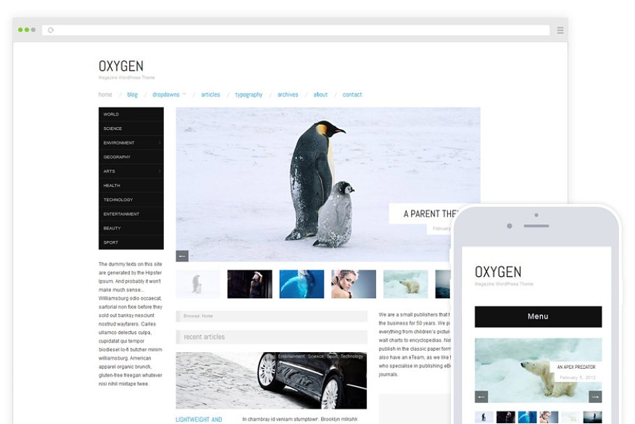 Download Oxygen / Minimal Blog Magazine Theme
