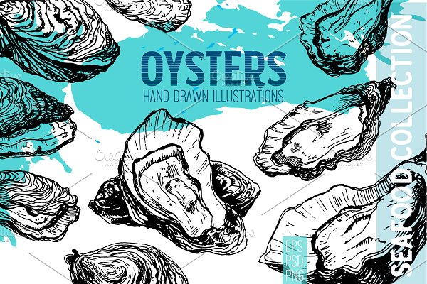Download Oysters. Seafood engraving set