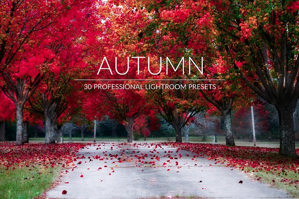 Download Autumn Lr Presets