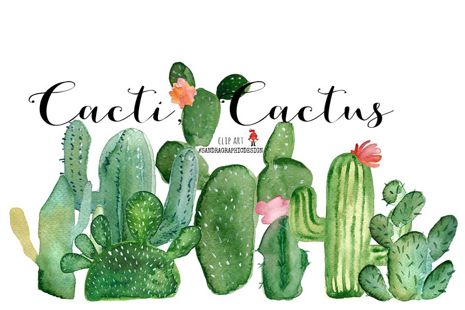 Download Cacti watercolor