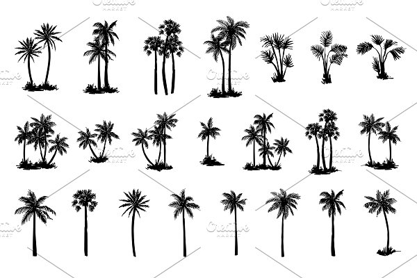 Download Hand drawn palm tree set