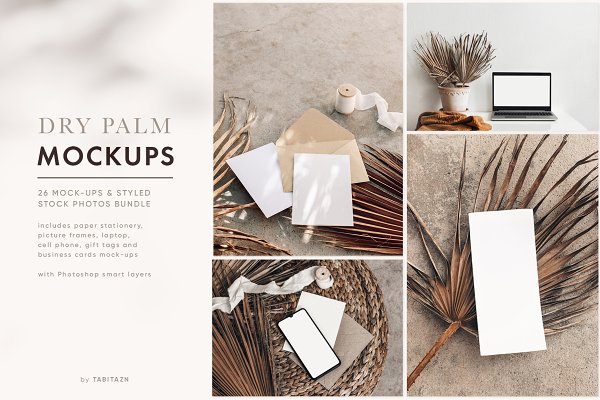 Download Dry Palm mockups & stock photos