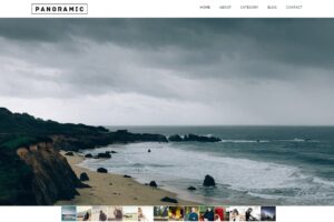 Download Panoramic Responsive WordPress Theme